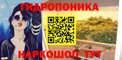 крисы Тулун