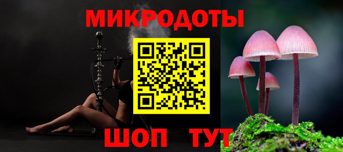 Алейск  Галлюциногенные грибы Cubensis  Галлюциногенные грибы Cubensis  Вход с VPN 